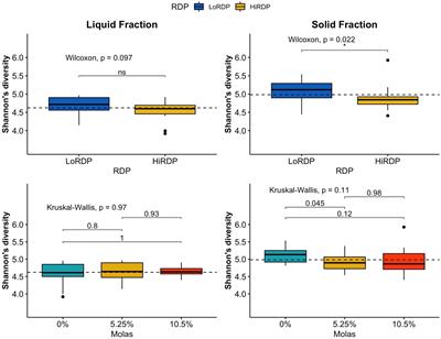Characterization of rumen microbiota in lactating Holstein cows fed molasses versus corn grain at two levels of rumen-degradable protein
